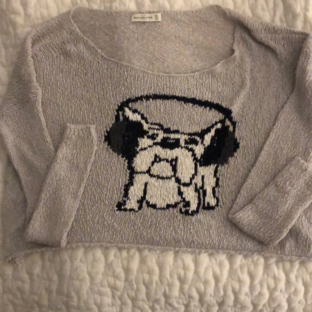 Abercrombie & Fitch Sweater